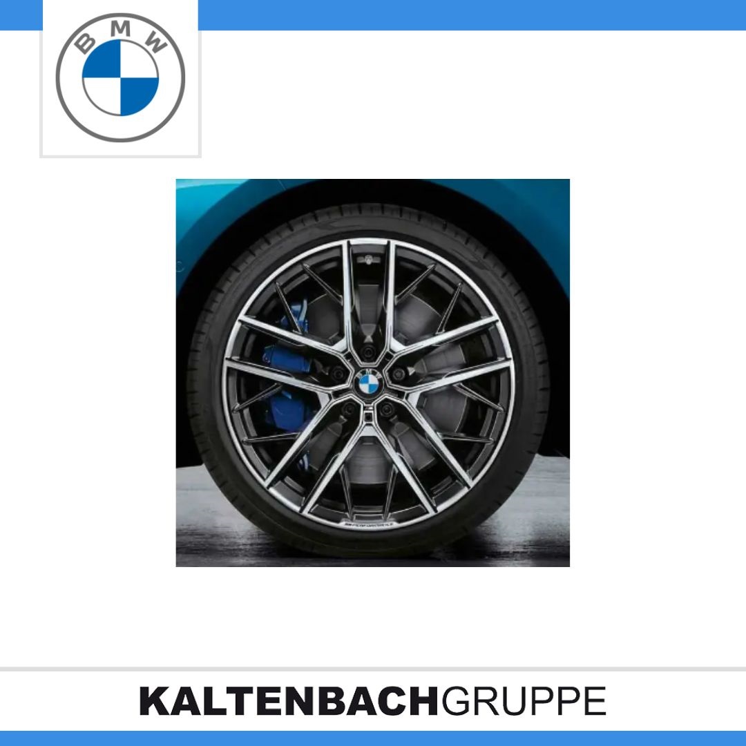 Doppelspeiche 555.jpg